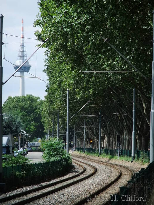 Tram lines and Fernmeldeturm