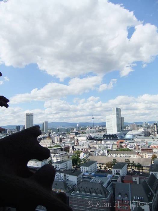 View from the tower on Frankfurt cathedral