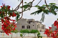 Royal Poinciana and new buildings