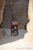 Horse and carriage in the Siq