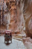 Horse and carriage in the Siq