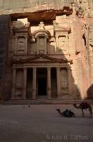 Camels at the Treasury