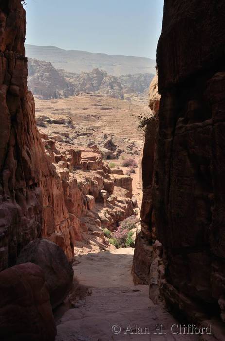 Path to the monastery