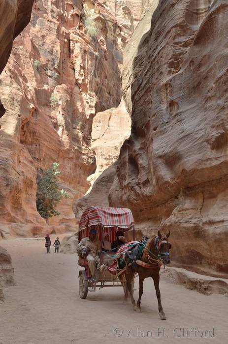 Horse and carriage in the Siq