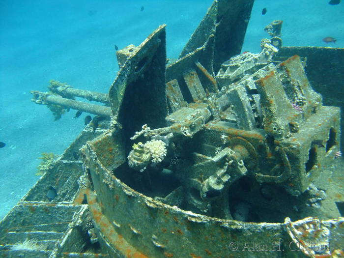 Tank underwater