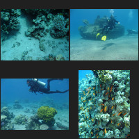 Seven Sisters dive