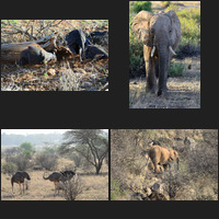 Samburu National Reserve