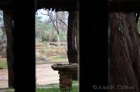 View from room at Samburu Game Lodge