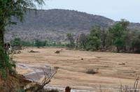 Ewaso Nyiro River