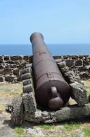 Cannon at Fort Rodney