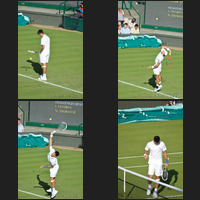 Jérémy Chardy and Novak Djokovic