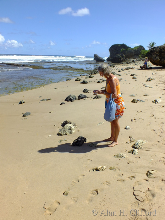 Margaret at Bathsheba