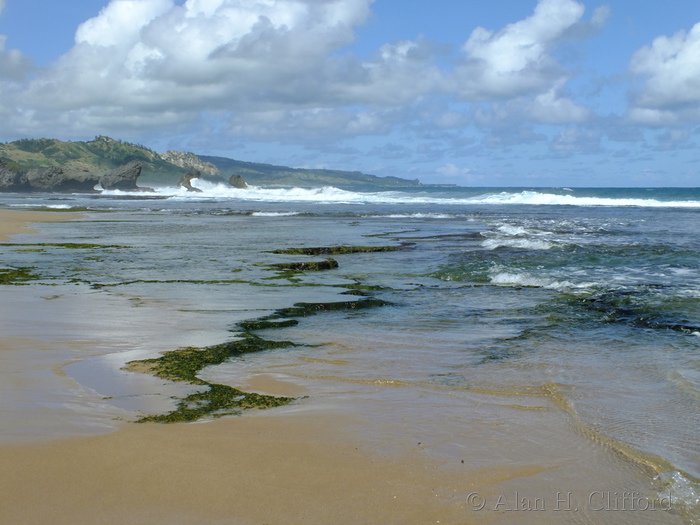 Bathsheba