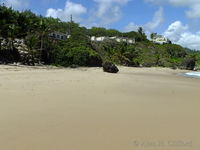 New Edgewater, Bathsheba