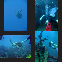 Scuba Diving