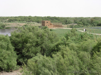 Azraq Wetland Reserve