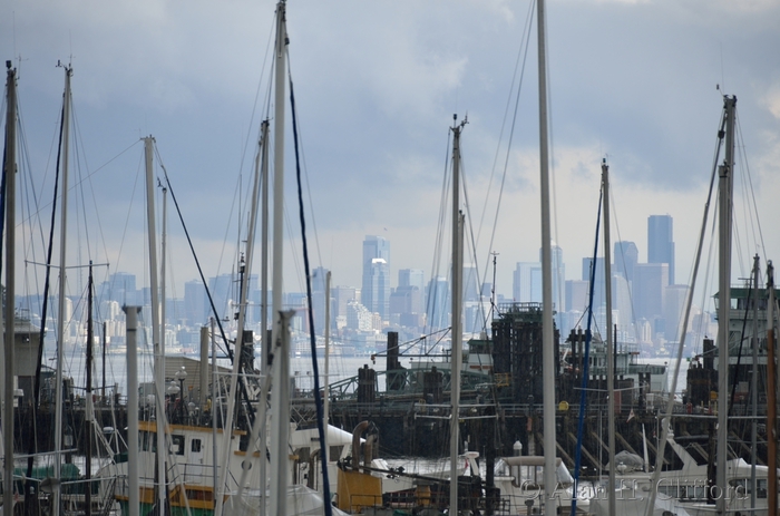 Seattle viewed from Bainbridge Island