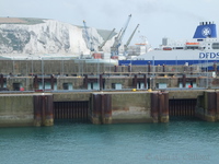 Dover