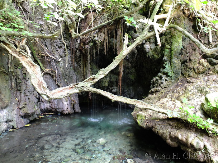 Baths of Aphrodite