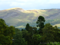 View from hotel room