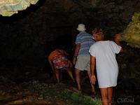 Animal Flower Cave