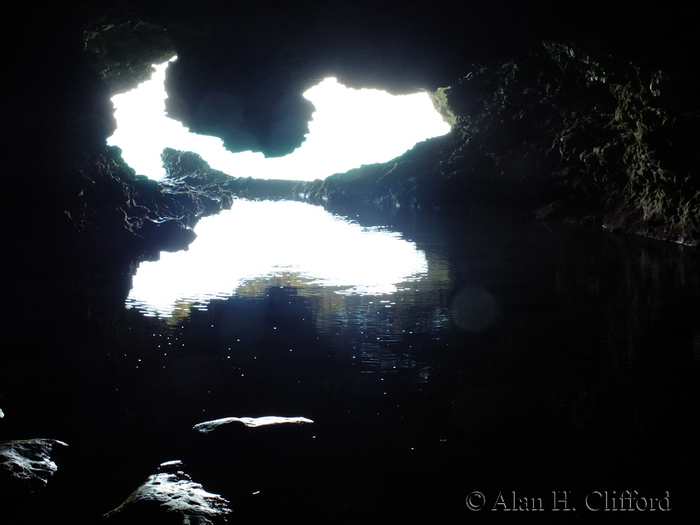 Animal Flower Cave