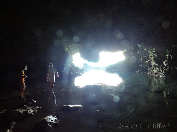 Animal Flower Cave