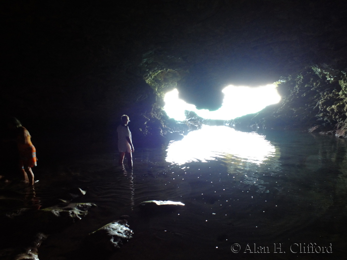 Animal Flower Cave