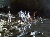 Animal Flower Cave