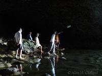 Animal Flower Cave