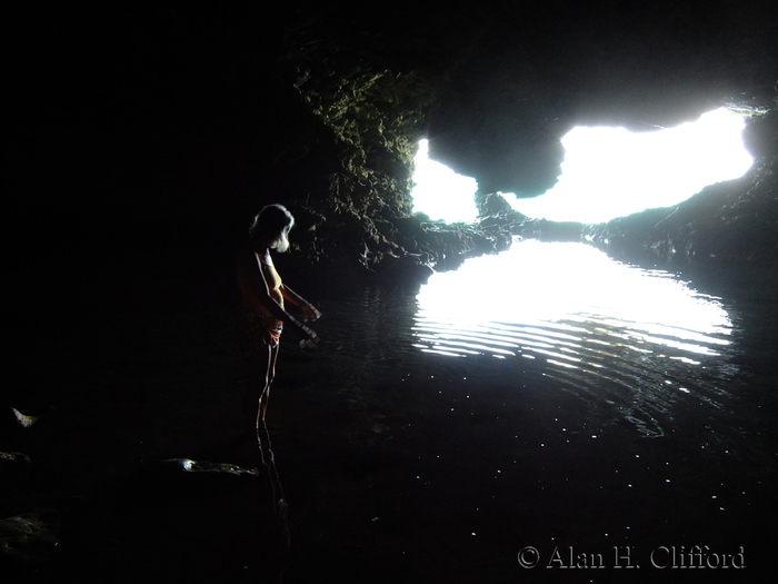 Animal Flower Cave