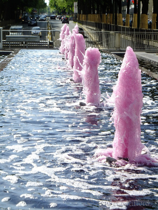 Pink Fountain