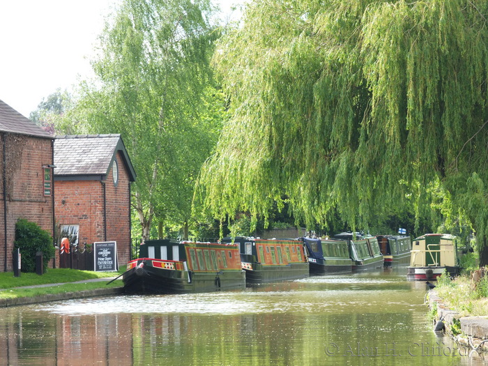 Boats by the Cheshire Cat