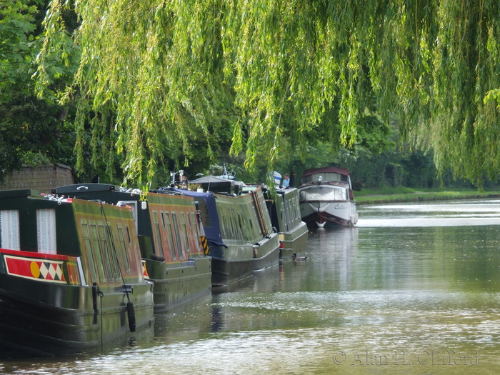 Boats by the Cheshire Cat