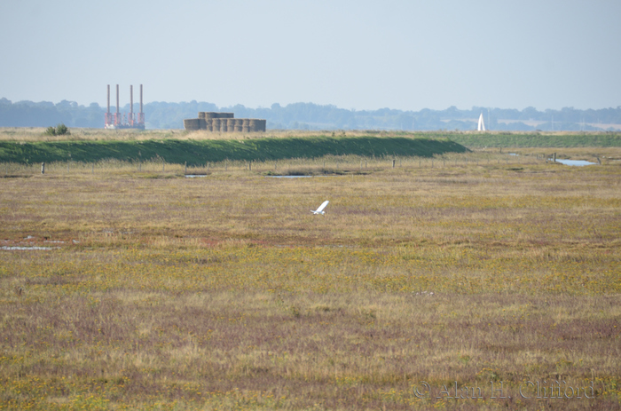 Near Felixstowe Ferry