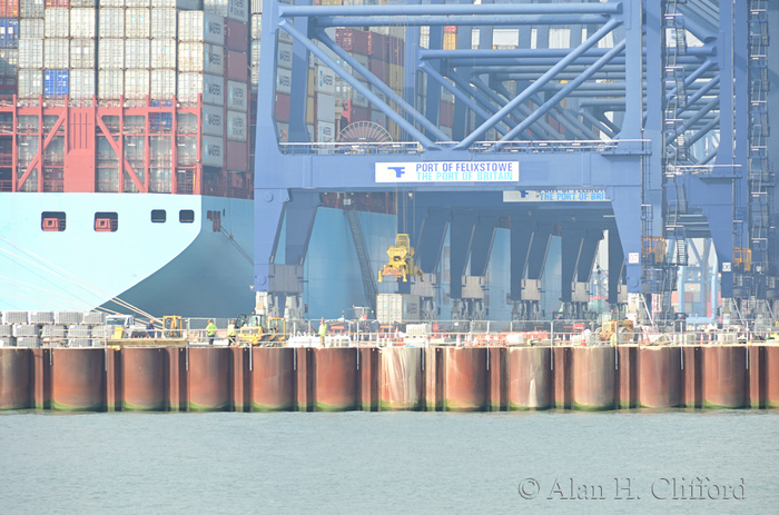 Container ship and cranes