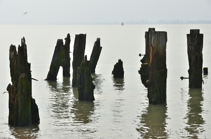 Beach near Languard Fort