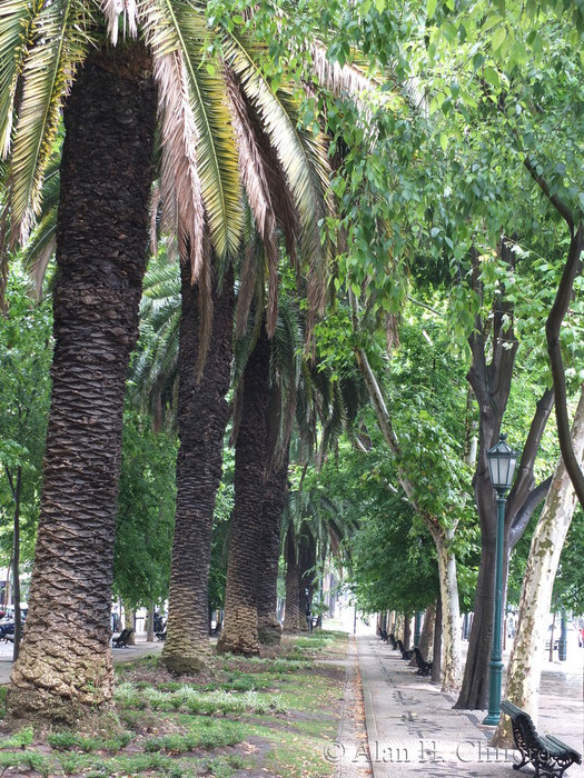 Avenida da Liberdade