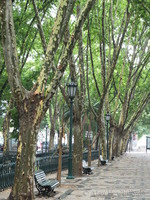 Avenida da Liberdade