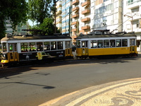 Trams at the Prazeres Cemetery