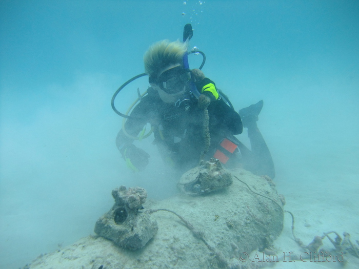 Underwater Telephone