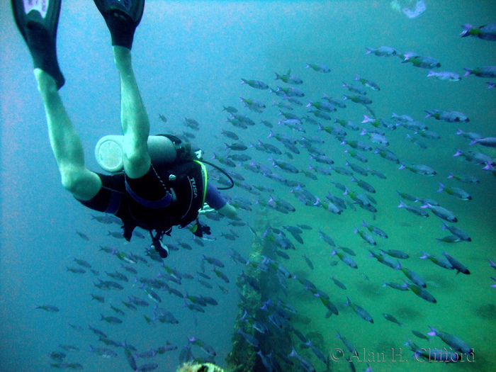 Benj with fish at the Stavronikita