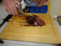 Ben Clifford and a Lion Fish