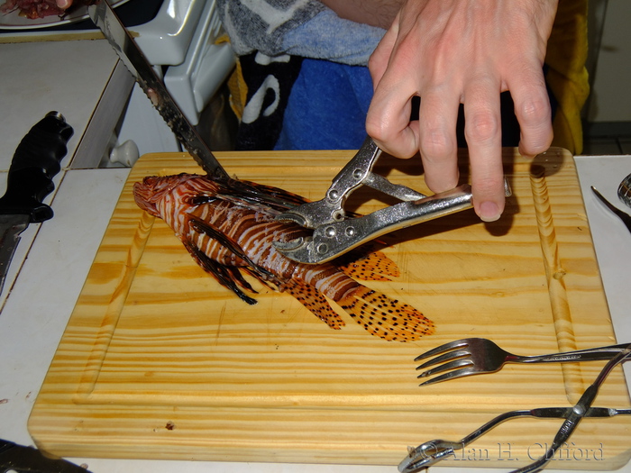 Ben Clifford and a Lion Fish