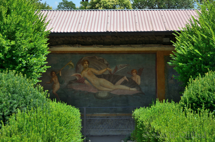 Venus Mural