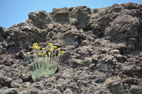 Vesuvius