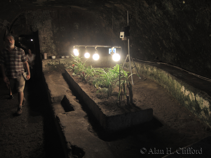 Underground Naples