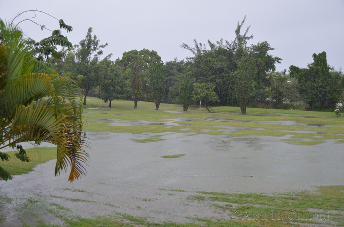 The Seventh Fairway