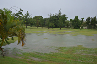 The Seventh Fairway