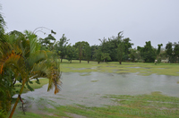 The Seventh Fairway